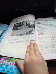 作文,下冊,五級,單元