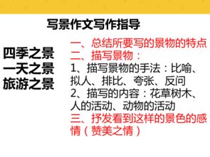 校園中景物的作文三級