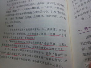 校園閱讀為主題的作文