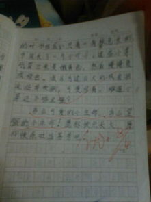 三級描寫(xiě)校園作文300字