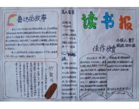 小學(xué)校園讀書(shū)節作文