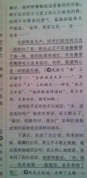雨后的校園作文200字,雨后的校園作文800字,雨后的校園作文400字四年級