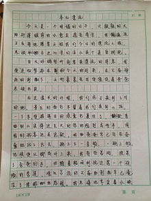 我在校園里最開(kāi)心的事情作文四百字