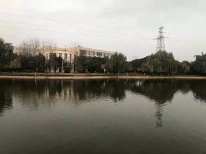 校園里一道靚麗的風(fēng)景線(xiàn),校園里一道美麗的風(fēng)景線(xiàn),煞是校園內一道靚麗的風(fēng)景線(xiàn)