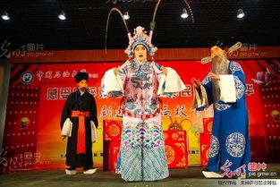 京劇進(jìn)校園活動(dòng)作文