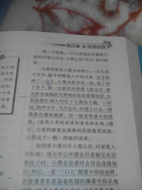 校園里來(lái)了一群小動(dòng)物寫(xiě)一篇作文