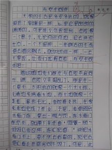 交通安全進(jìn)校園作文700字