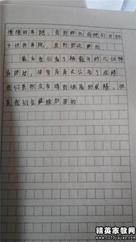 難忘的校園奧運會(huì )作文