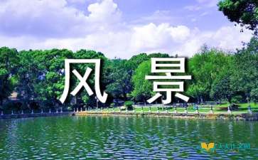 描寫(xiě)校園景色優(yōu)美作文6