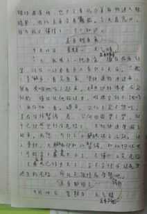 校園里笑聲作文350字