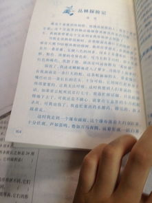 介紹校園的作文50字,校園活動(dòng)的作文50字,我的校園作文50字以下