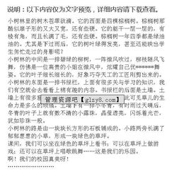 校園一角的美景描寫(xiě)300字,校園一角動(dòng)靜結合描寫(xiě)300字,描寫(xiě)校園一角的作文300字