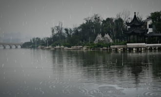 校園和公園景色的作文二級
