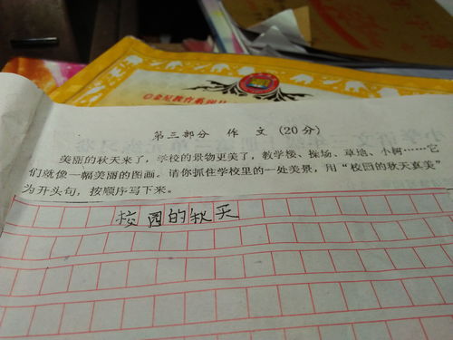 秋雨中的校園三級作文