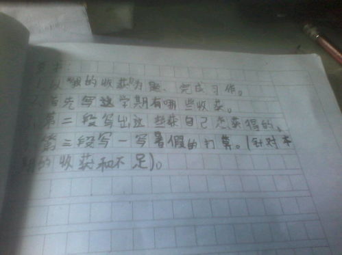 作文,春天,校園
