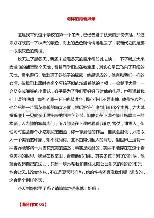 青春校園生活的滿(mǎn)分作文