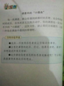 校園調查報告250字作文怎么寫(xiě)