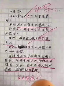 寫(xiě)回到校園的作文