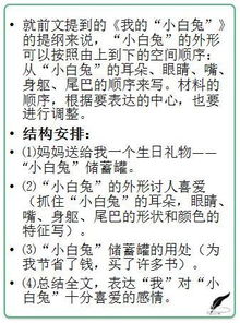 我的校園小學(xué)作文提綱