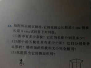 作文我們的校園500