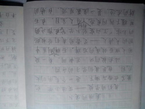 寫(xiě)校園遺景作文400