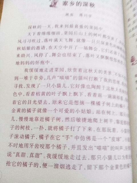 作文,結尾,風(fēng)光無(wú)限,校園