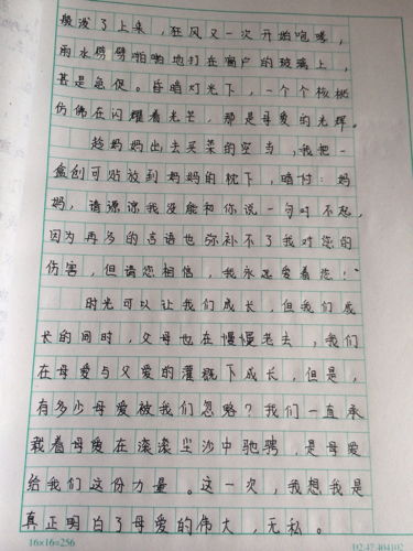 三年級(jí)寫(xiě)我們的校園作文,仿寫(xiě)我們的校園的作文,我們的校園作文400字