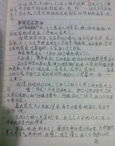 那兒半命題作文校園