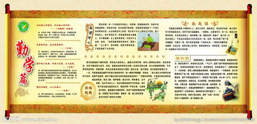 校園文化長廊作文300字