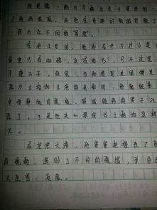作文,書(shū)香,校園