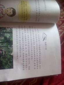 我校園的花草樹(shù)木作文