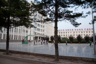 美麗的甘肅省西峰區新建校園作文