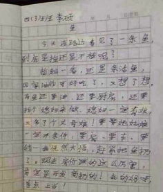 校園生活第三人稱(chēng)作文