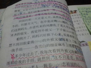 校園中發(fā)生的故事的作文四百字