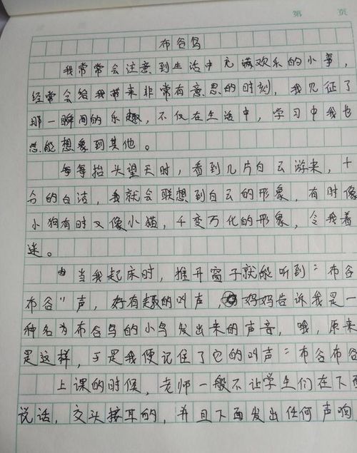 狀物作文校園