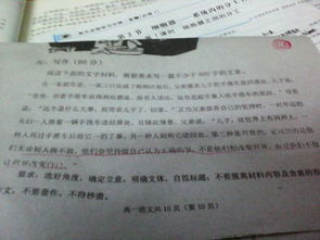 校園寫事800字作文