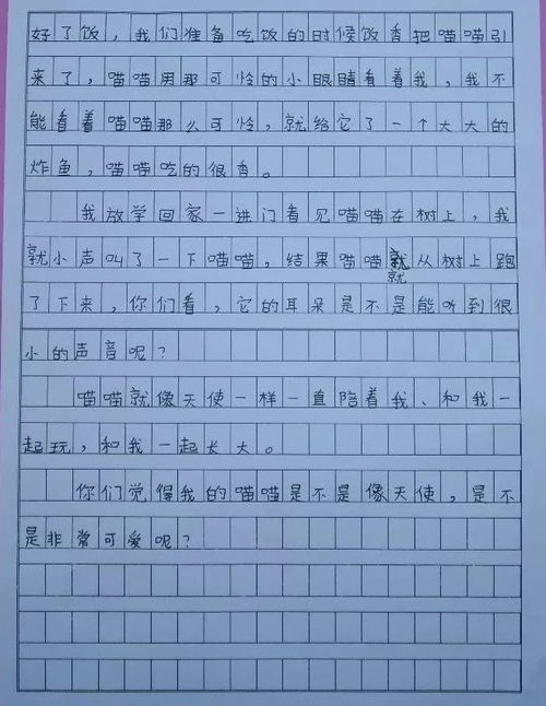 校園活動(dòng)比賽四級作文
