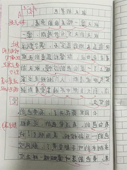 小學(xué)三級關(guān)于校園風(fēng)景的作文怎么寫(xiě)