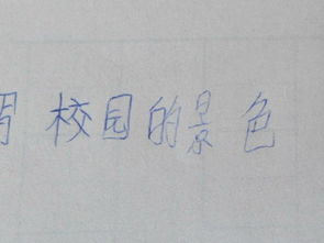 校園風(fēng)景作文324字