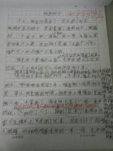 校園里的開(kāi)心事300字三級作文