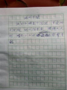 我們的校園300字作文怎么寫(xiě)