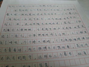 作文,眼中,校園