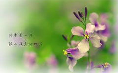 作文,春天,校園