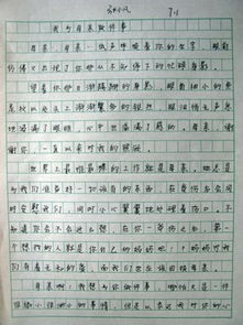 寫(xiě)清晨校園里聲音的好作文結尾