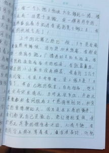 老師與文明校園的作文1000字