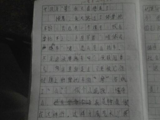 校園調查報告寫(xiě)一篇作文400字