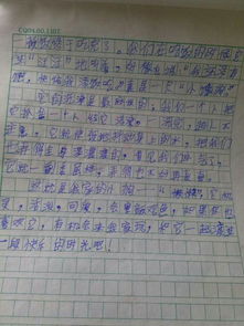 美好的冬天校園作文600字作文