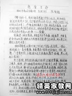國慶節校園節目430字作文