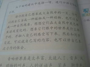 什么校園一道作文開(kāi)頭