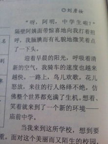 多彩的校園生活作文300字
